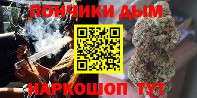 шишки Тулун