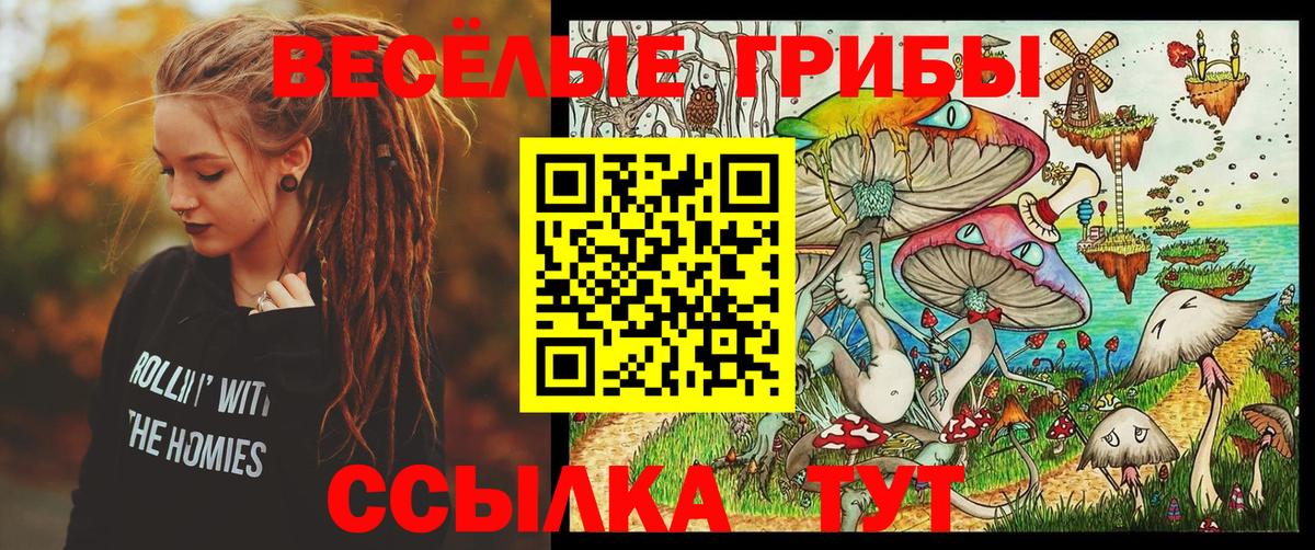 Галлюциногенные грибы MAGIC MUSHROOMS Родники